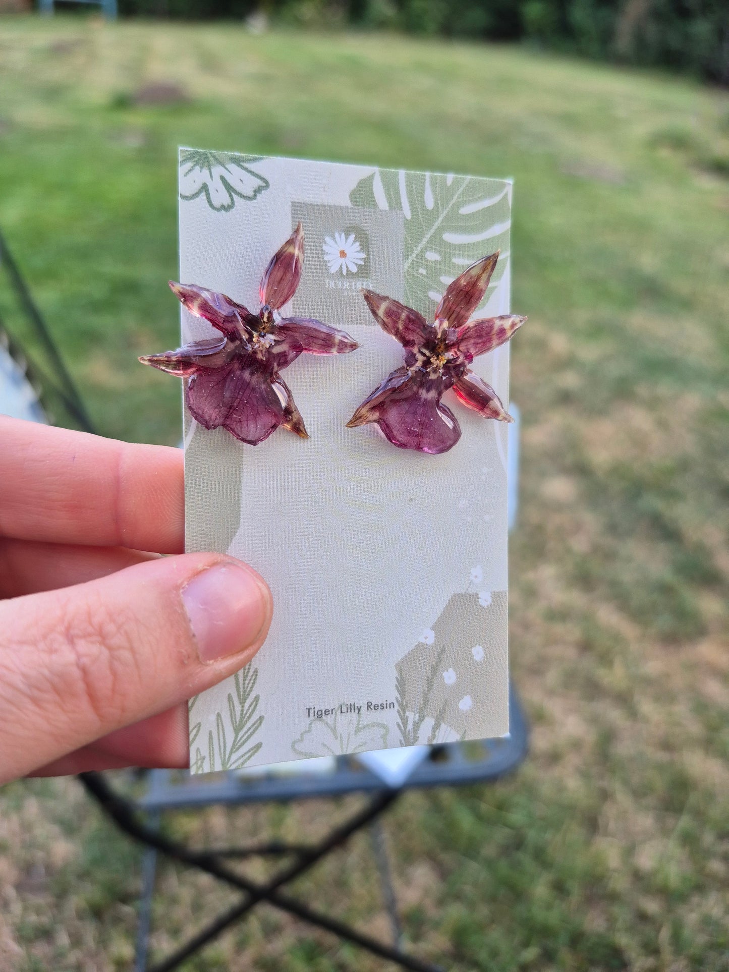 Real oncidium stud earrings