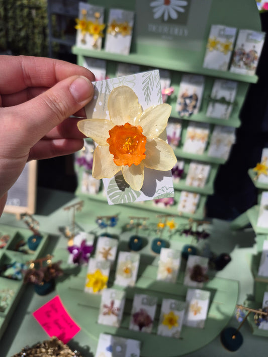 Real daffodil pin badge
