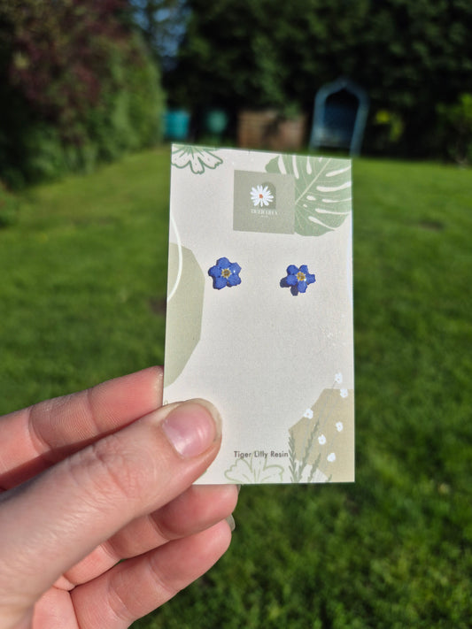 Real Forget me not studs earrings
