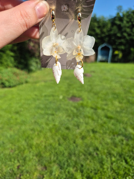 White phalaenopsis shell dangles