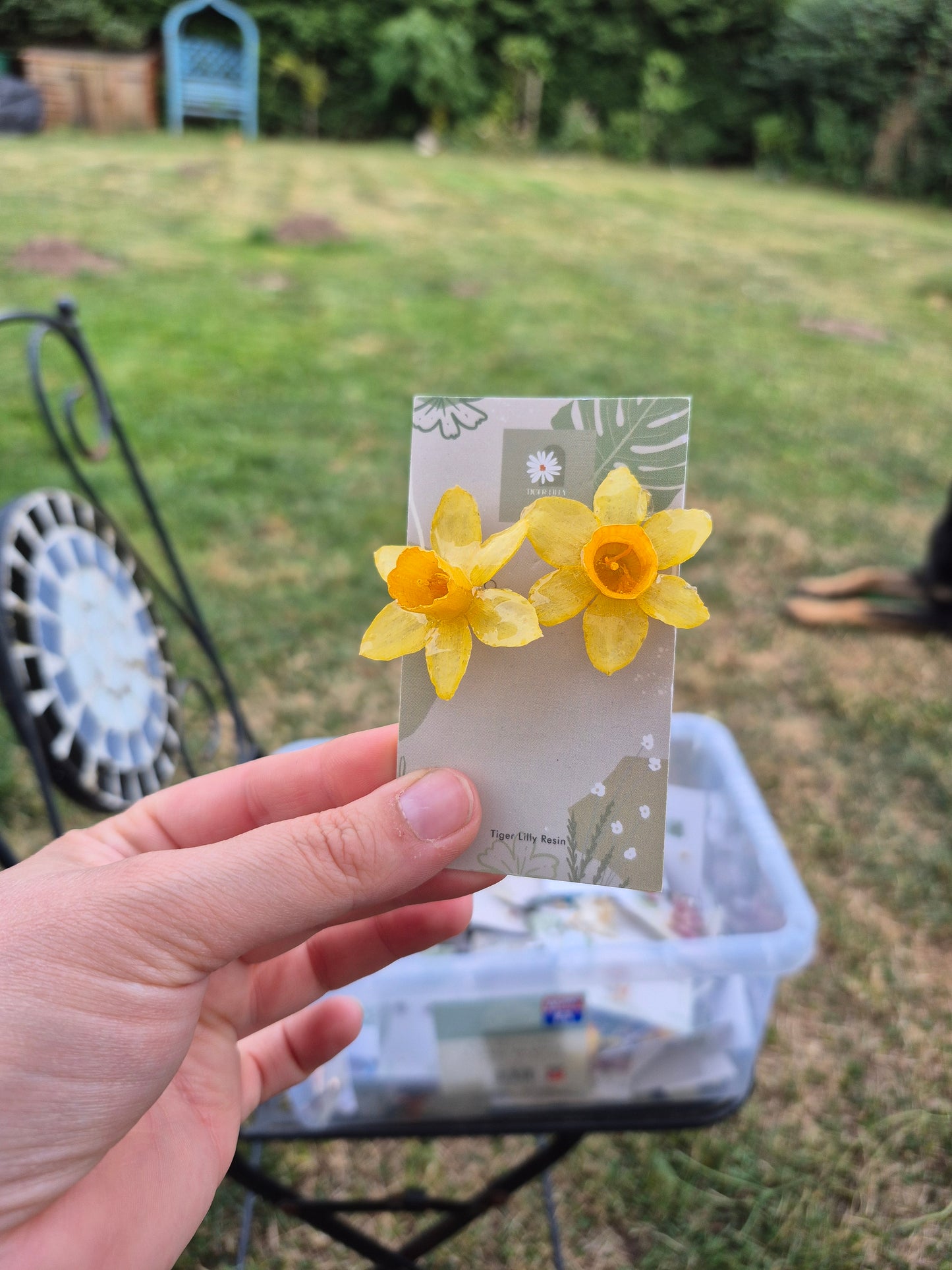 Real daffodil studs