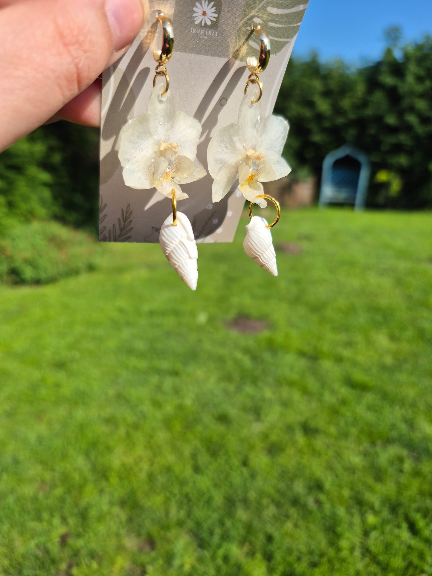 White phalaenopsis shell dangles