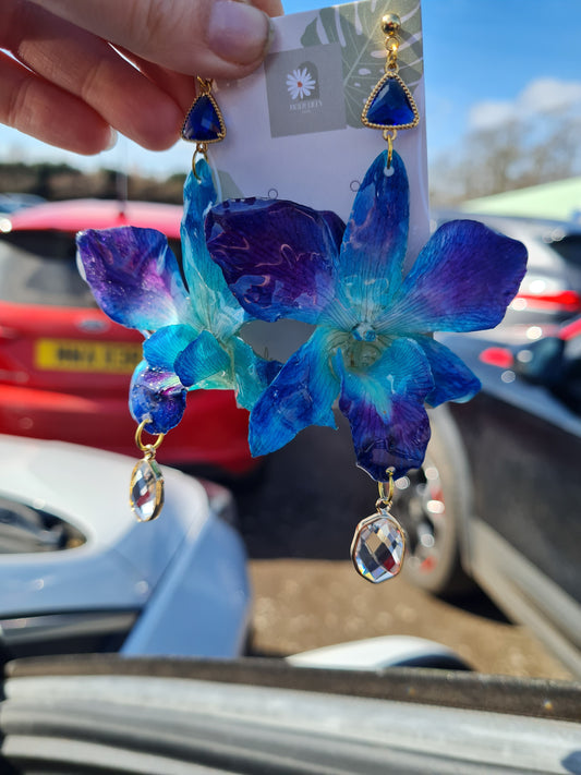Blue dendrobium orchid earrings