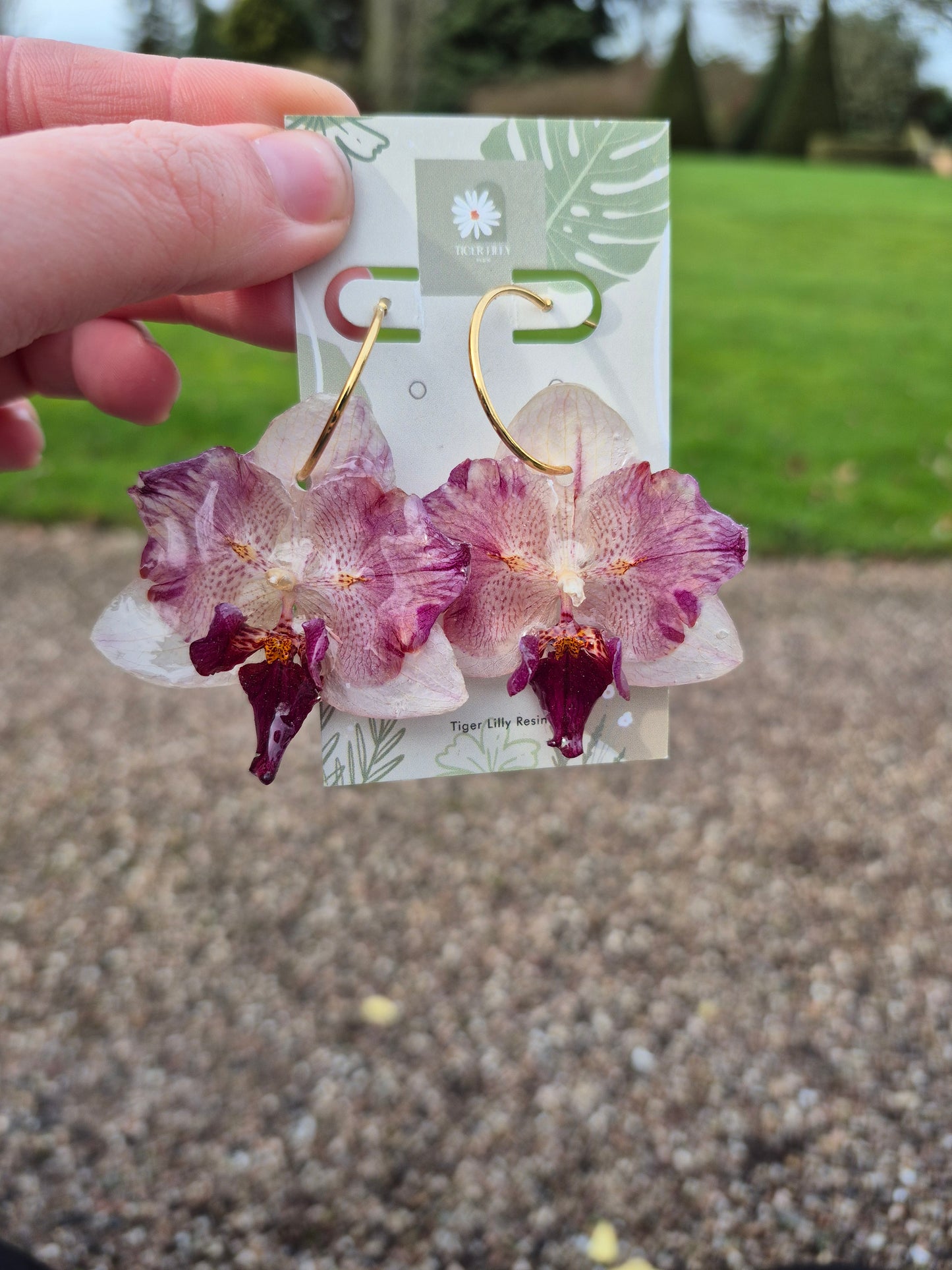 Rare peloric orchids resin earrings