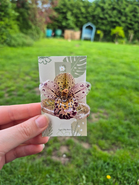 Real Cymbidium Orchid pin badge