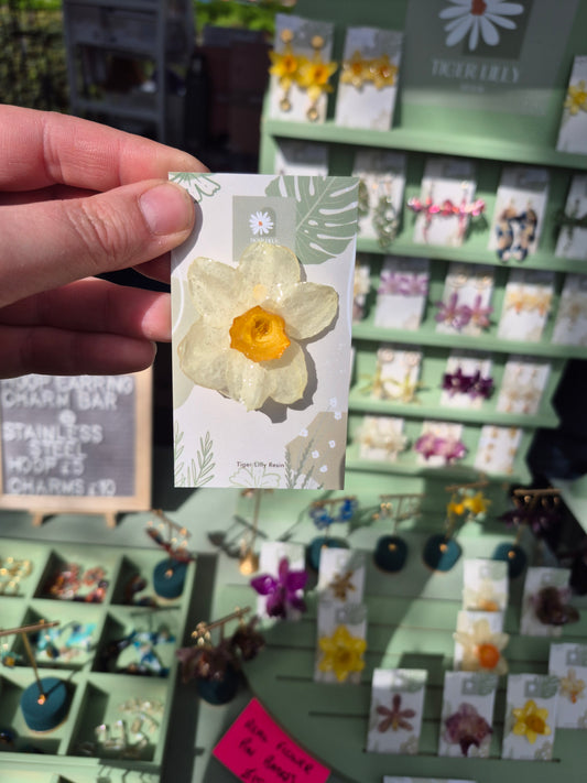 Real daffodil pin badge