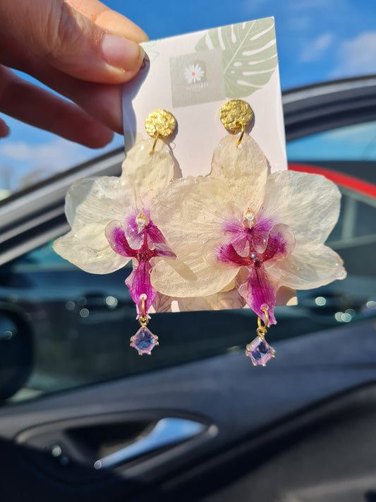 Real Pink splash phalaenopsis orchid earrings