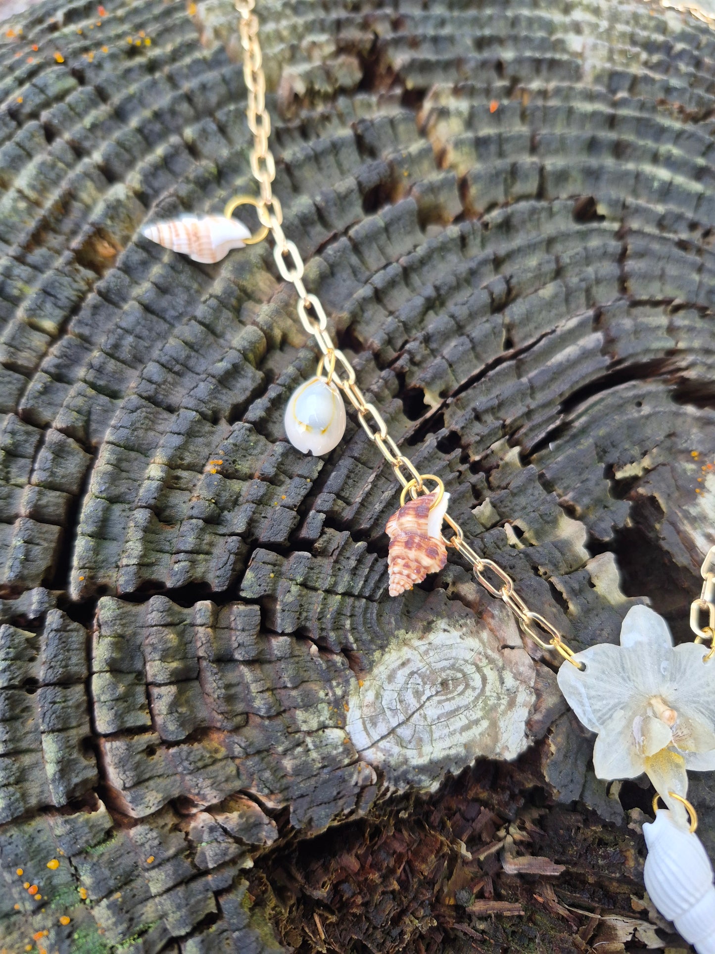 Small phalaenopsis orchid sea shell necklace