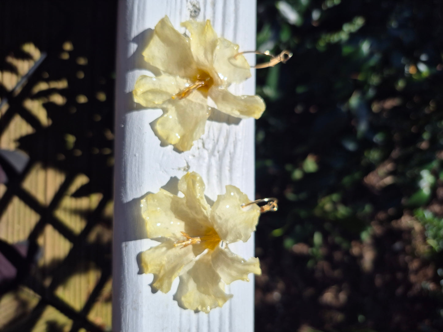 Daffodil hoop earrings