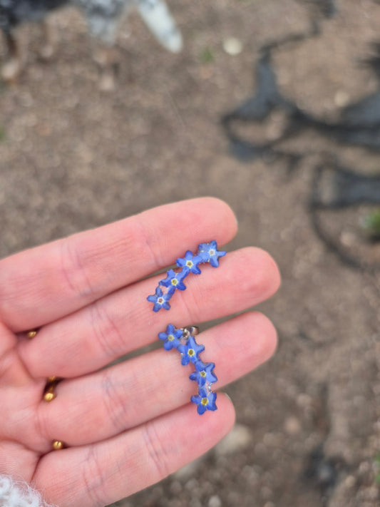 Forget me not ear climbers