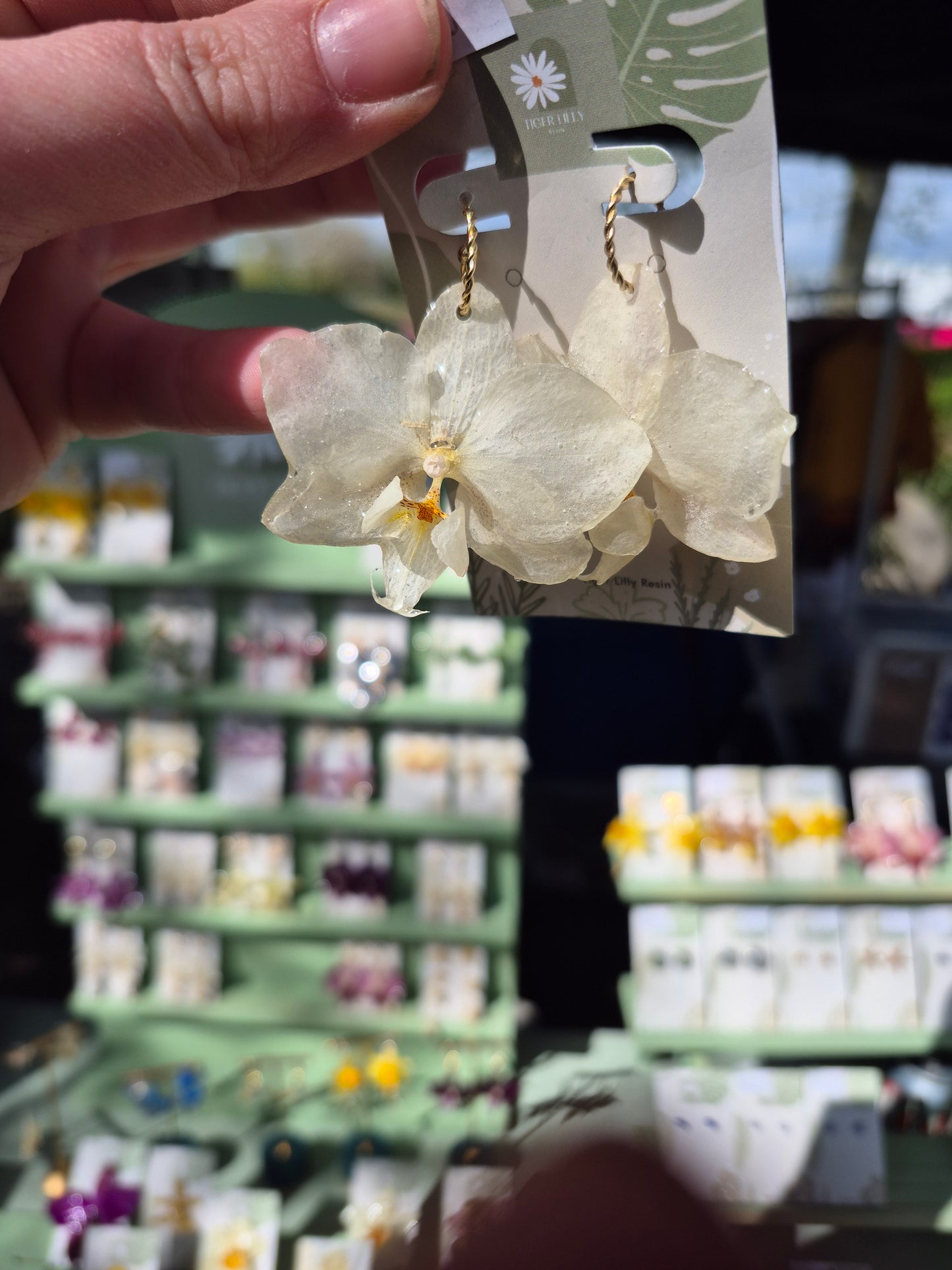Real phalaenopsis white orchid earrings
