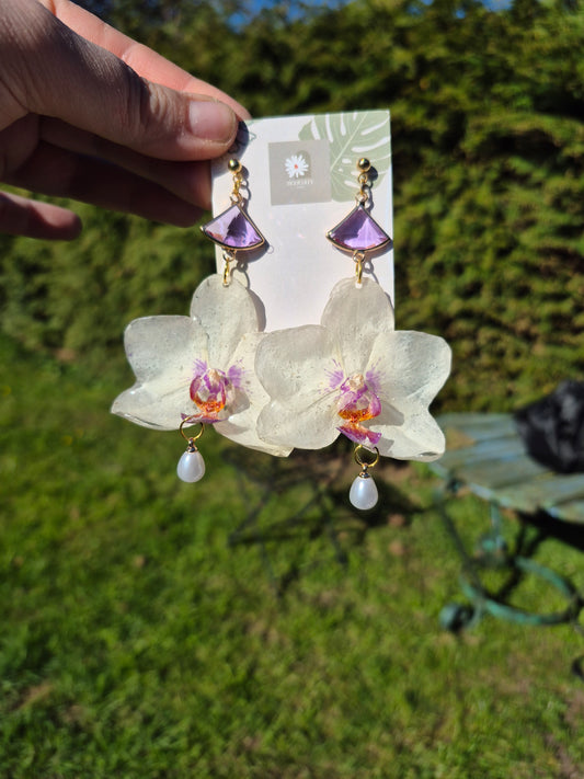 Real phalaenopsis earrings