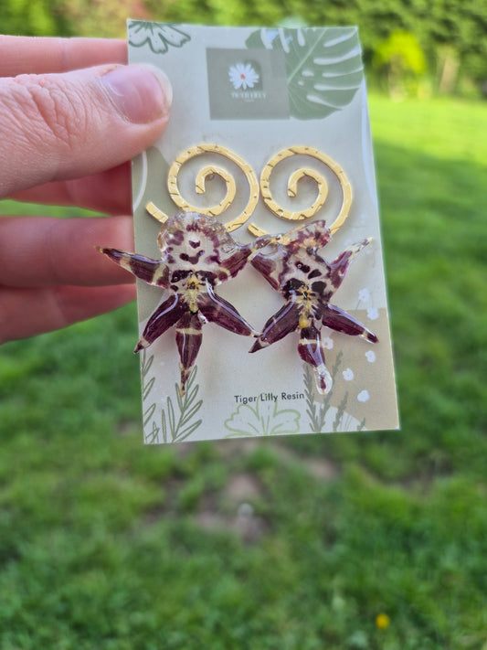 Brassia Orchid Earrings