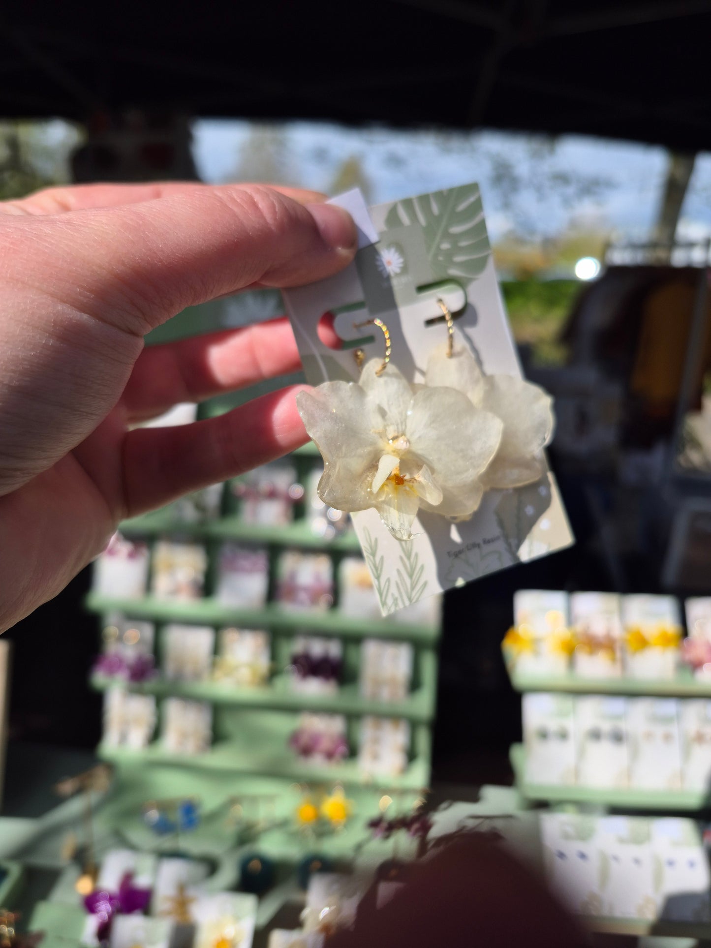 Real phalaenopsis white orchid earrings