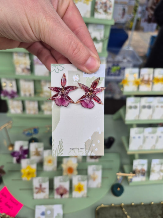 Real oncidium orchid purple studs