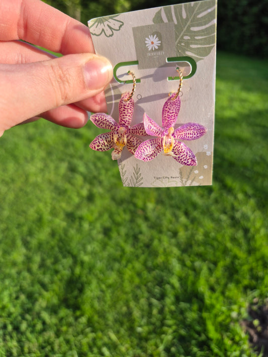 Real oncidium orchid dangle earrings