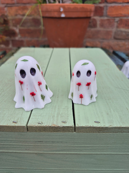 Poppy and fern leaf ghosts