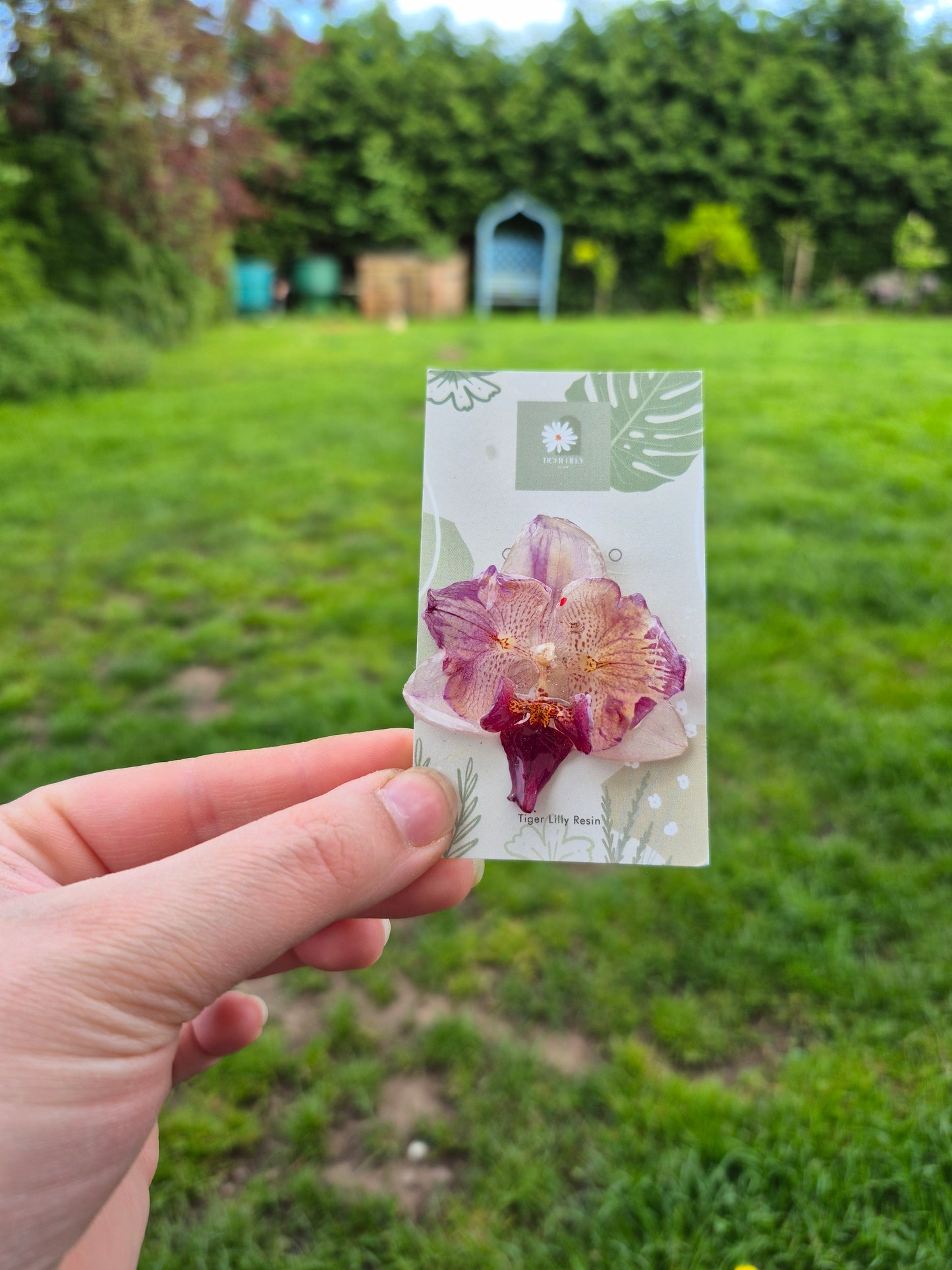Real phalaenopsis orchid pin badge