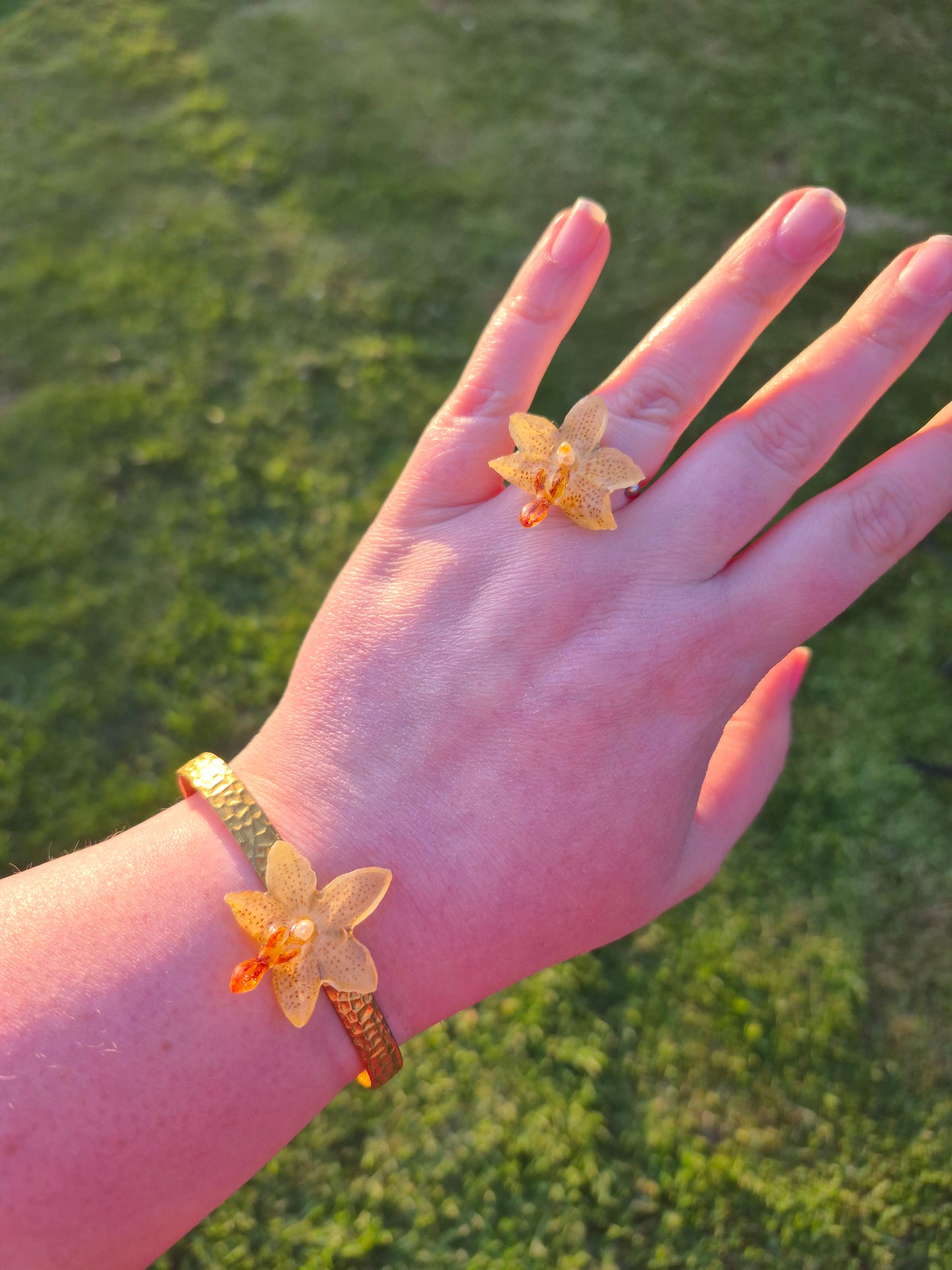 Phalaenopsis mini mark orchid ring