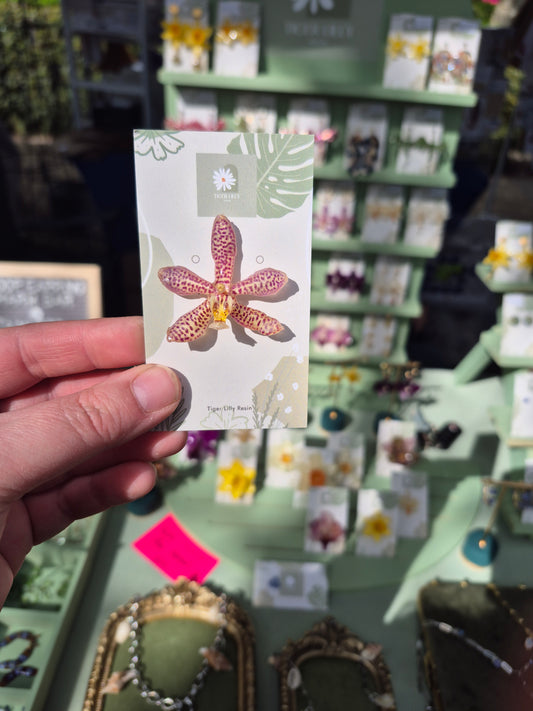 Real phalaenopsis spider orchid pin badge