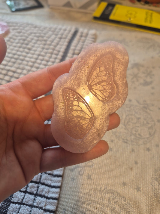 Butterfly wings mould