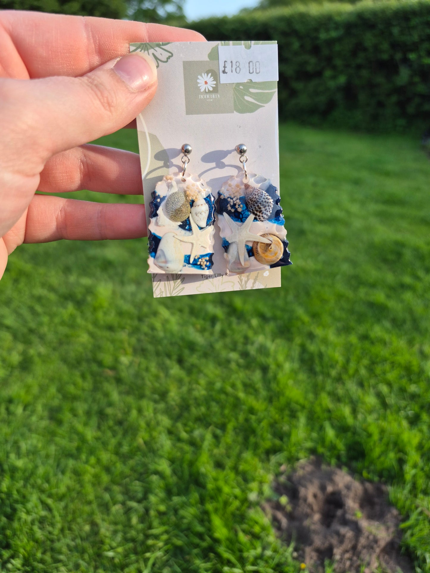 Sea shell arch earrings