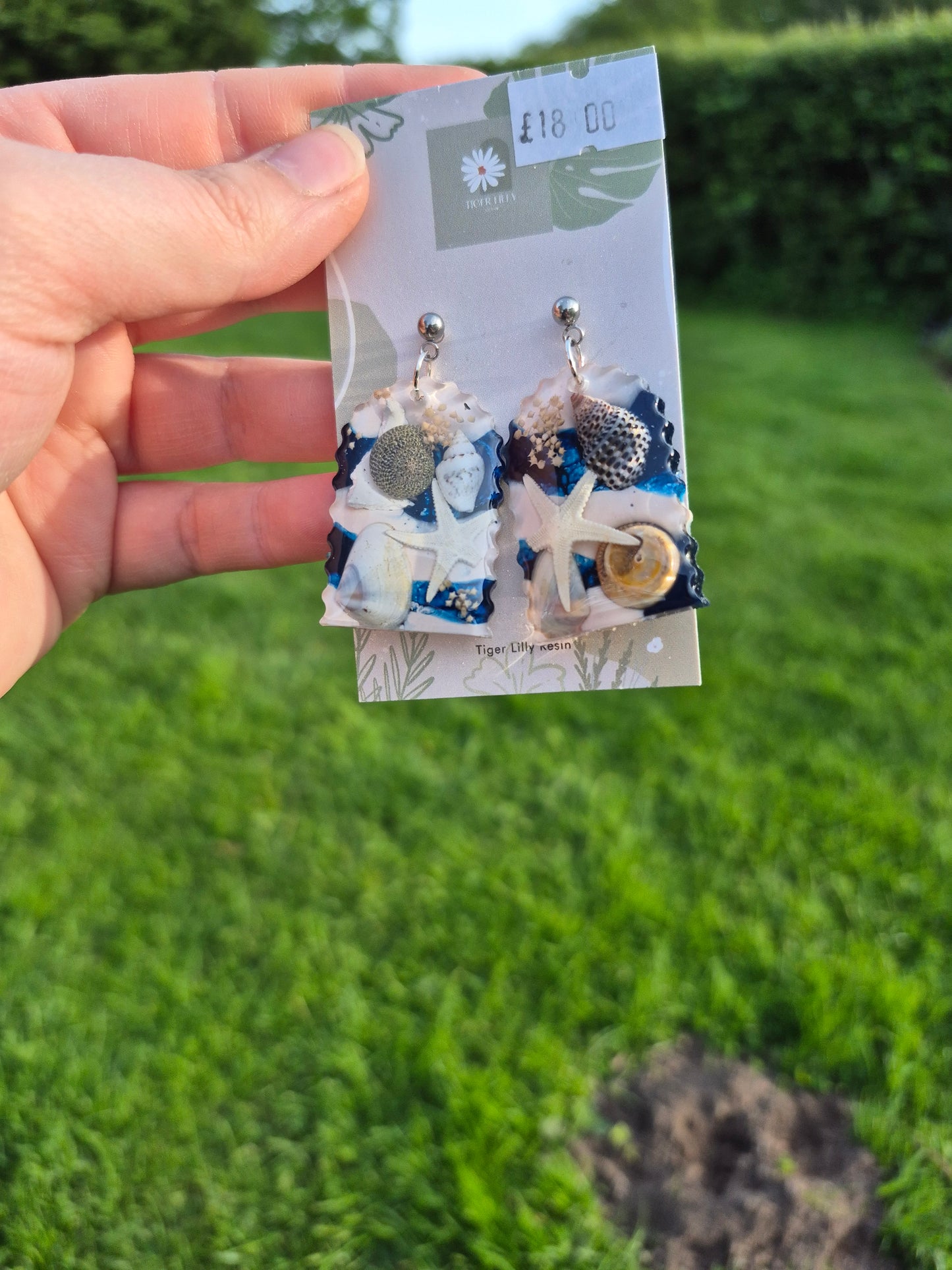 Sea shell arch earrings