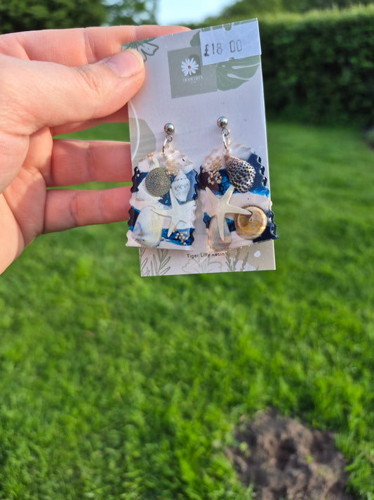 Sea shell arch earrings