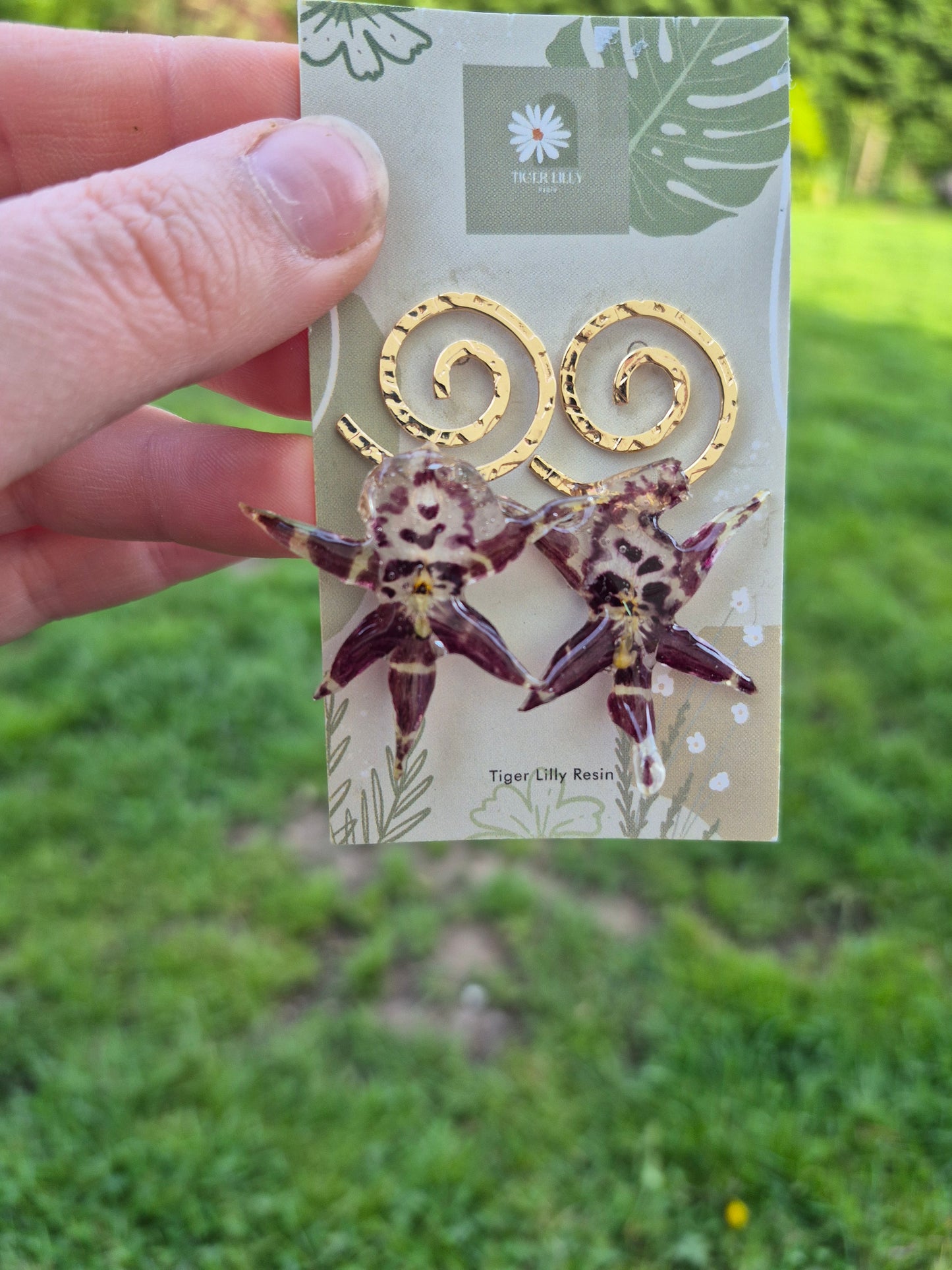 Brassia Orchid Earrings