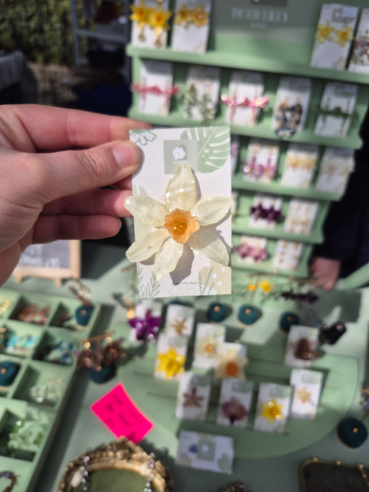 Real daffodil pin badge