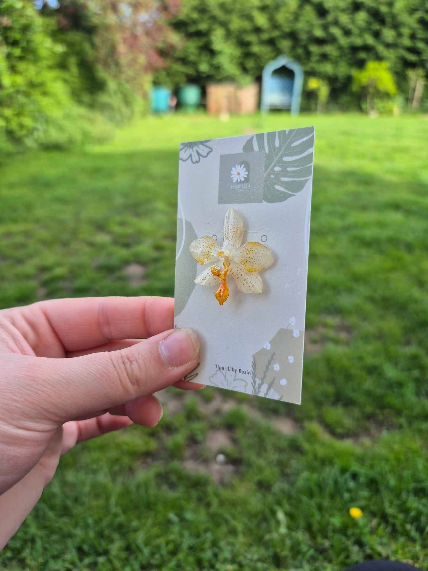 Real Phalaenopsis Mini Mark Orchid pin badge