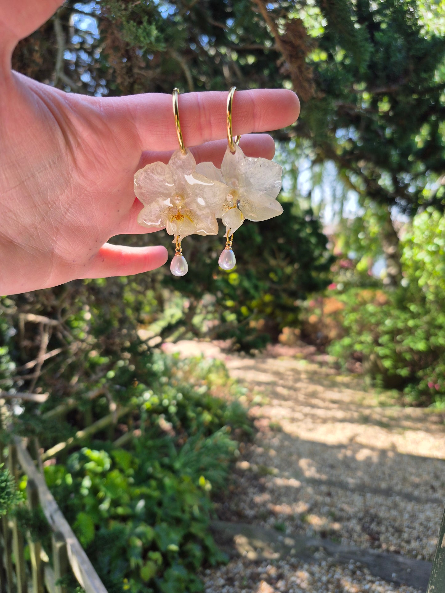 Real White phalaenopsis orchid hoops earrings