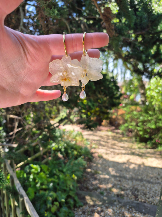 Real White phalaenopsis orchid hoops earrings