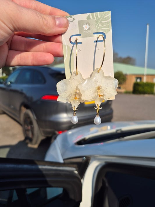 White phalaenopsis orchid earrings