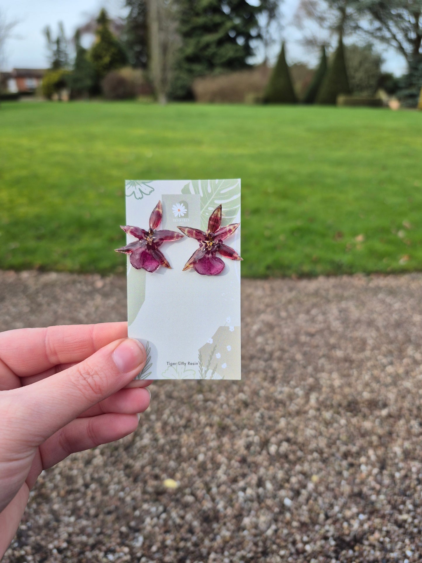 Real oncidium orchid purple studs