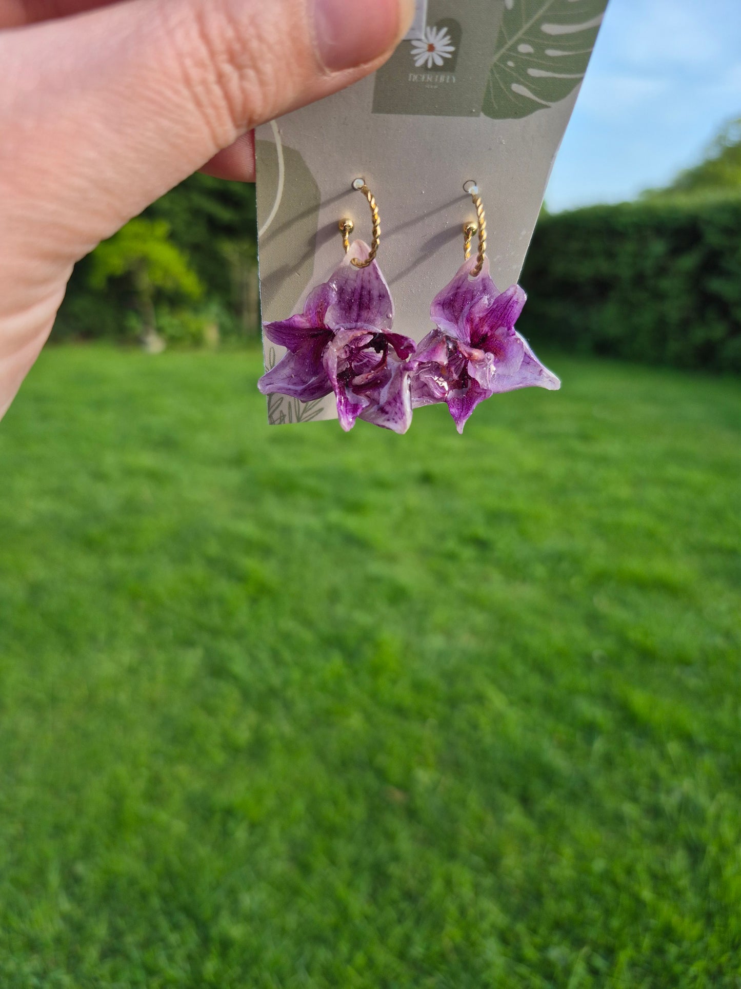 Real small pink peloric orchid earrings