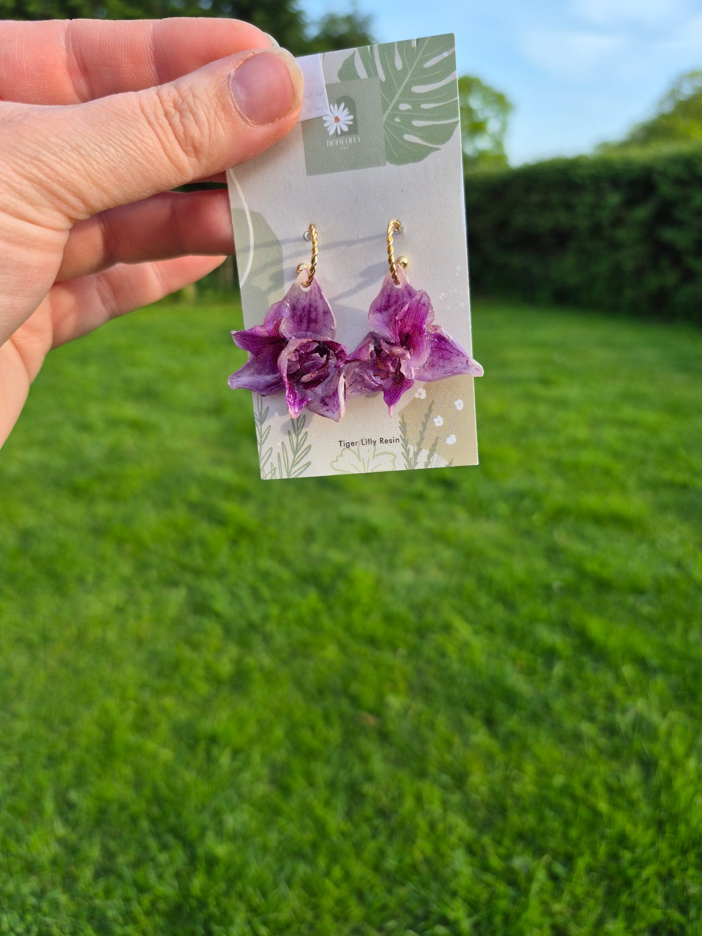 Real small pink peloric orchid earrings
