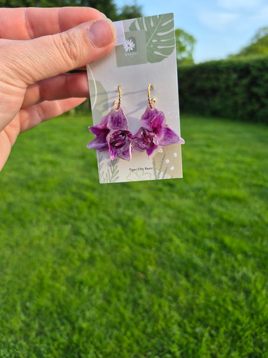 Real small pink peloric orchid earrings