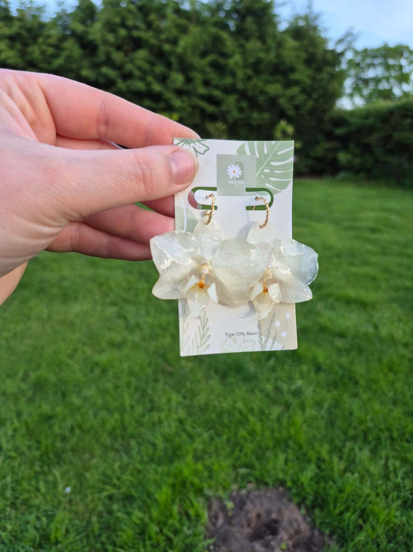 Real phalaenopsis white orchid earrings