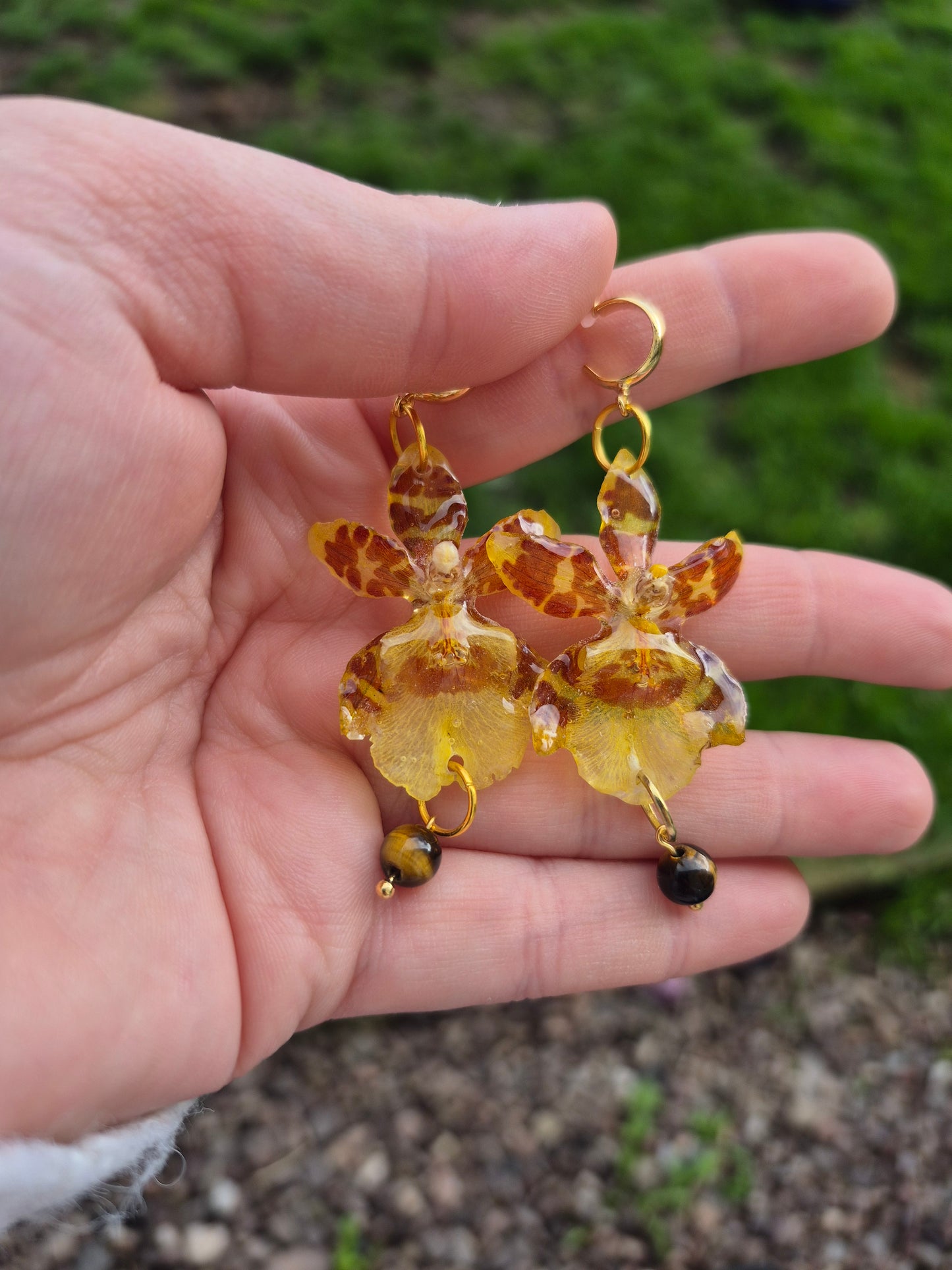 Real oncidium orchid dangle earrings