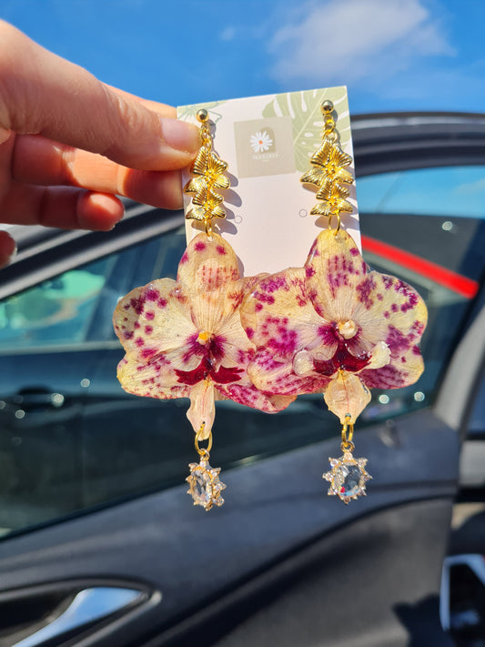 Cream and burgundy Real orchid earrings