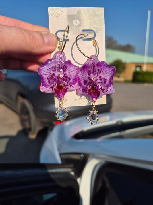 Real phalaenopsis orchid earrings