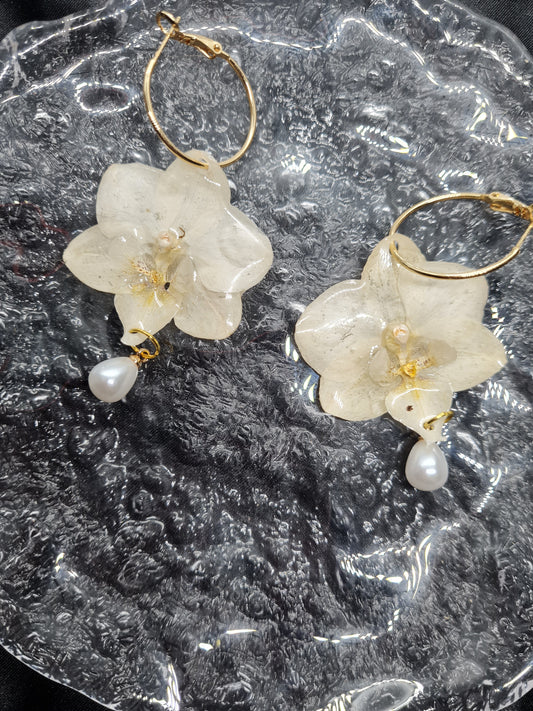 White phalaenopsis orchid earrings