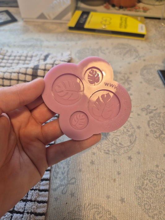 Monstera circle engraved mould