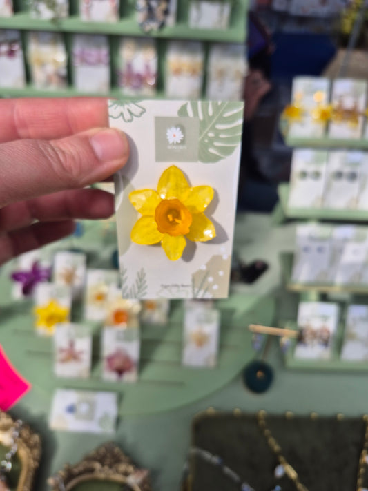 Real daffodil pin badge