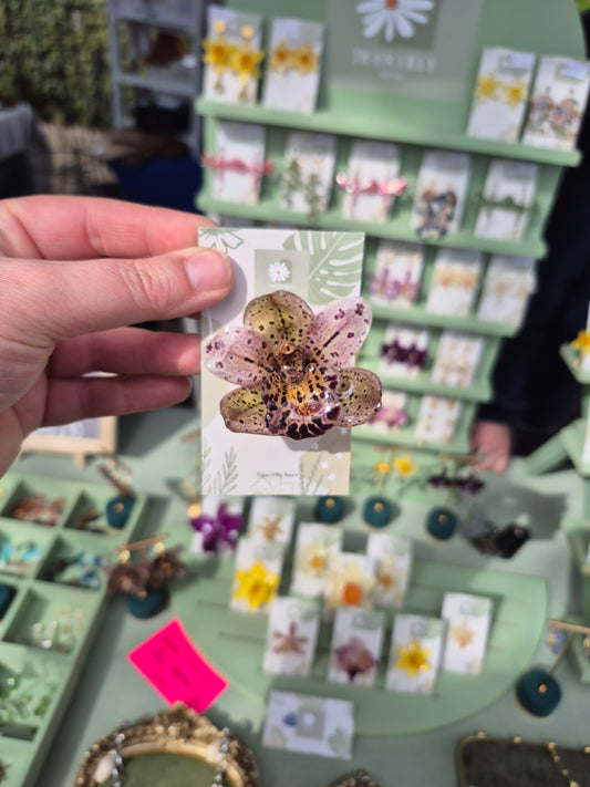 Real Cymbidium Orchid pin badge