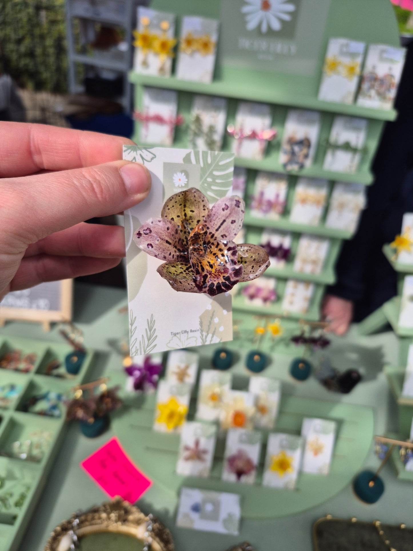 Real Cymbidium Orchid pin badge