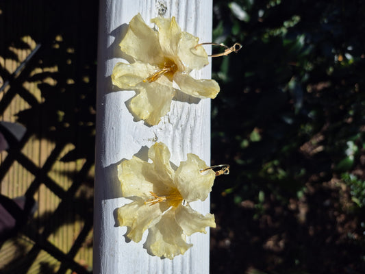 Daffodil hoop earrings