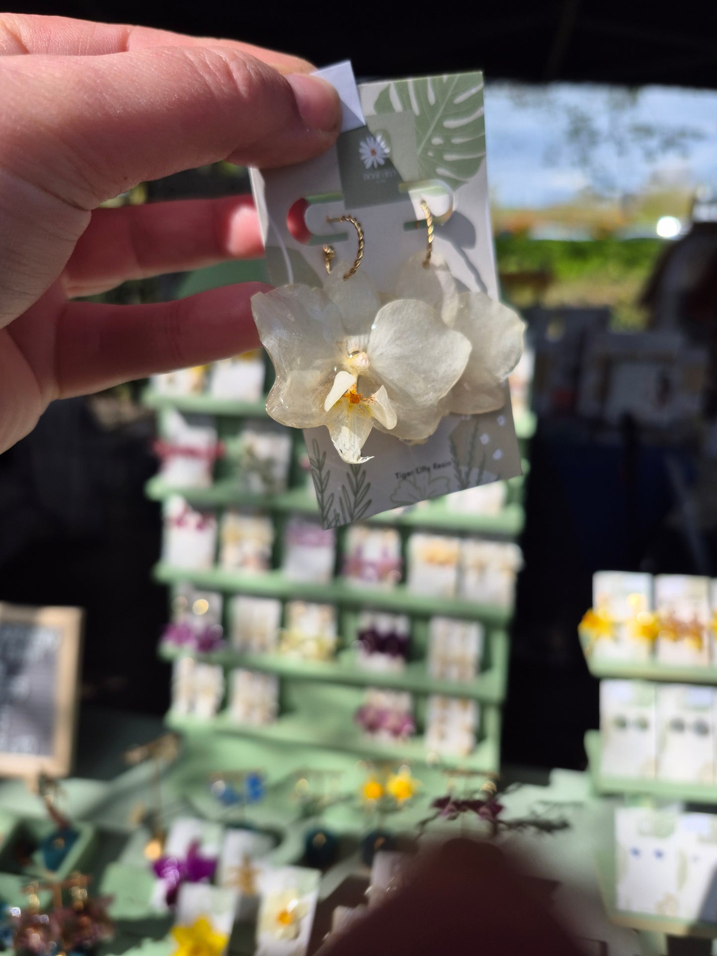 Real phalaenopsis white orchid earrings