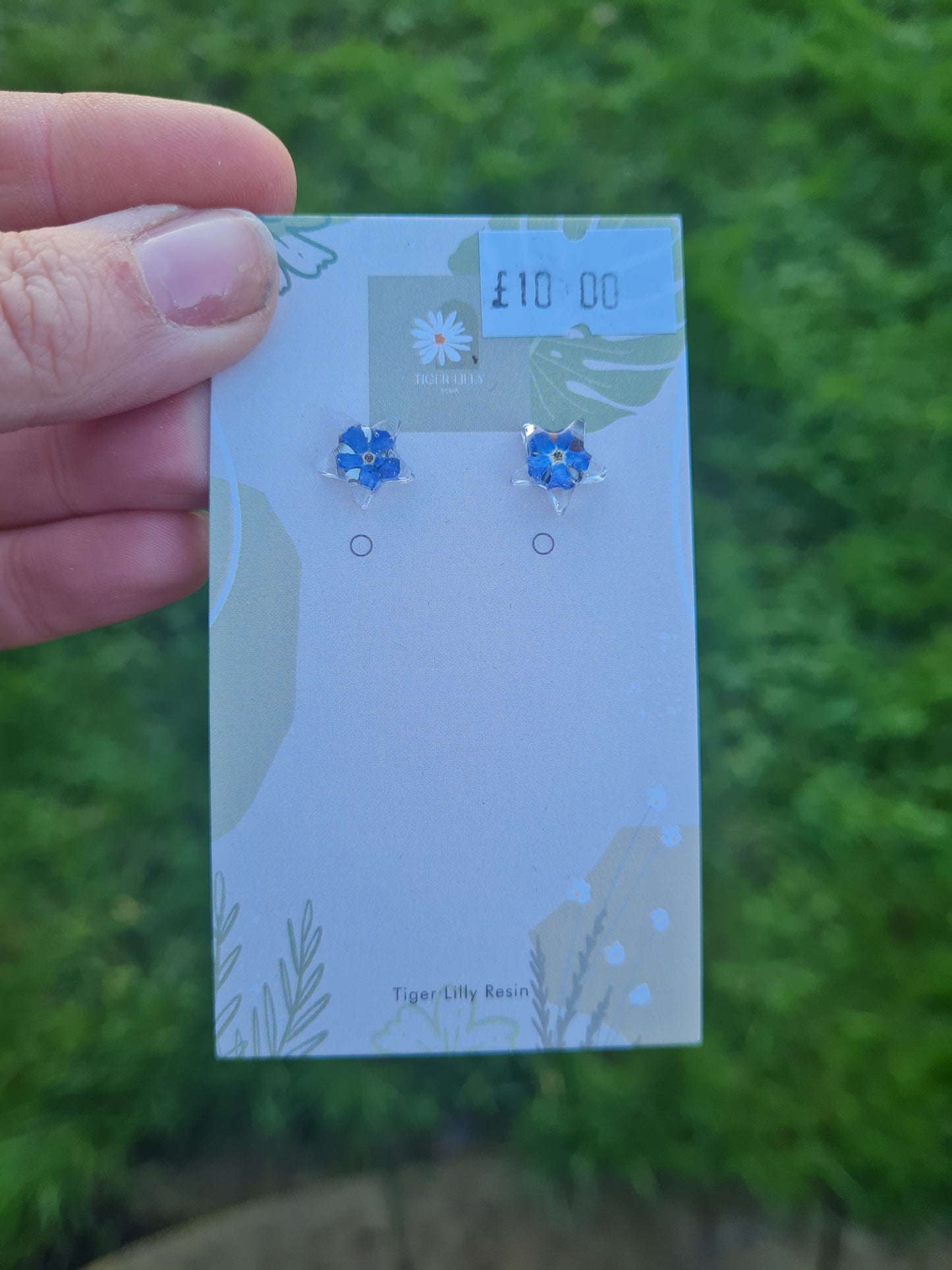 Forget me not star studs